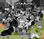 Malika Ayane - Neve casomai (Un amore straordinario)