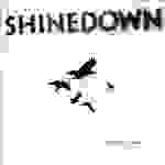 Shinedown - The sound of madness