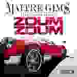 Maître Gims - Zoum zoum