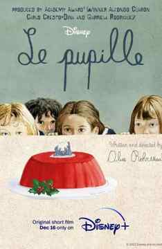 Le pupille