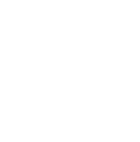 Rebel Without a Cause